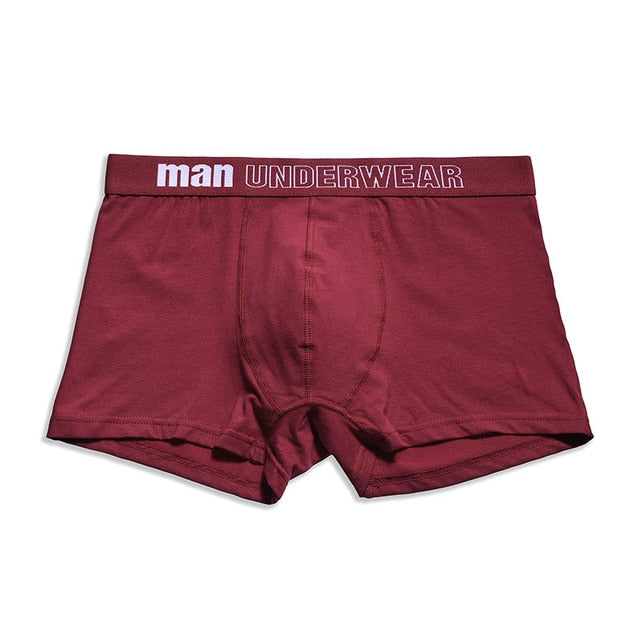 6pcs/lot Cotton Mens Underpants Soft Boxer