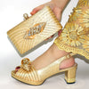 Beautiful Italian Matching Shoes And Bag