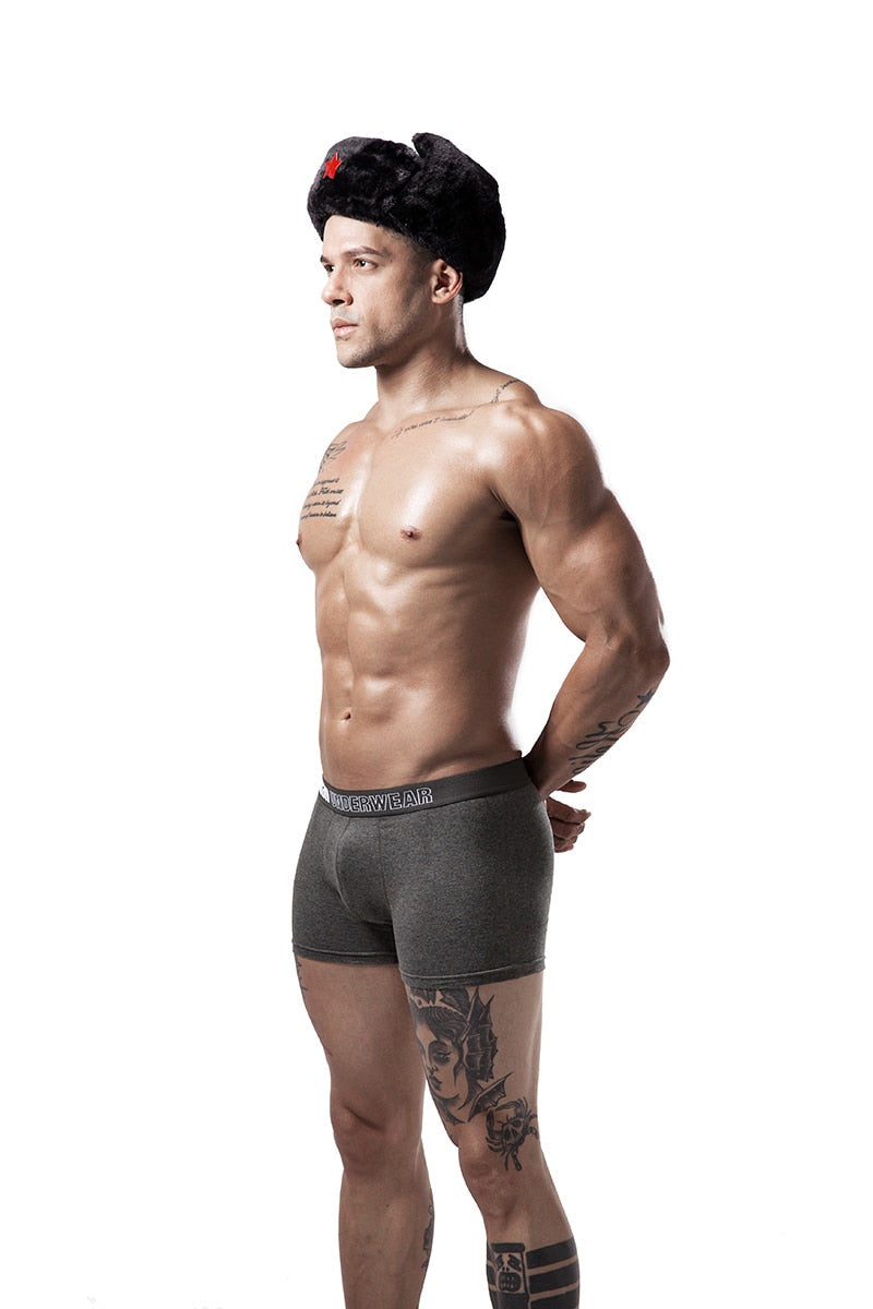 6pcs/lot Cotton Mens Underpants Soft Boxer