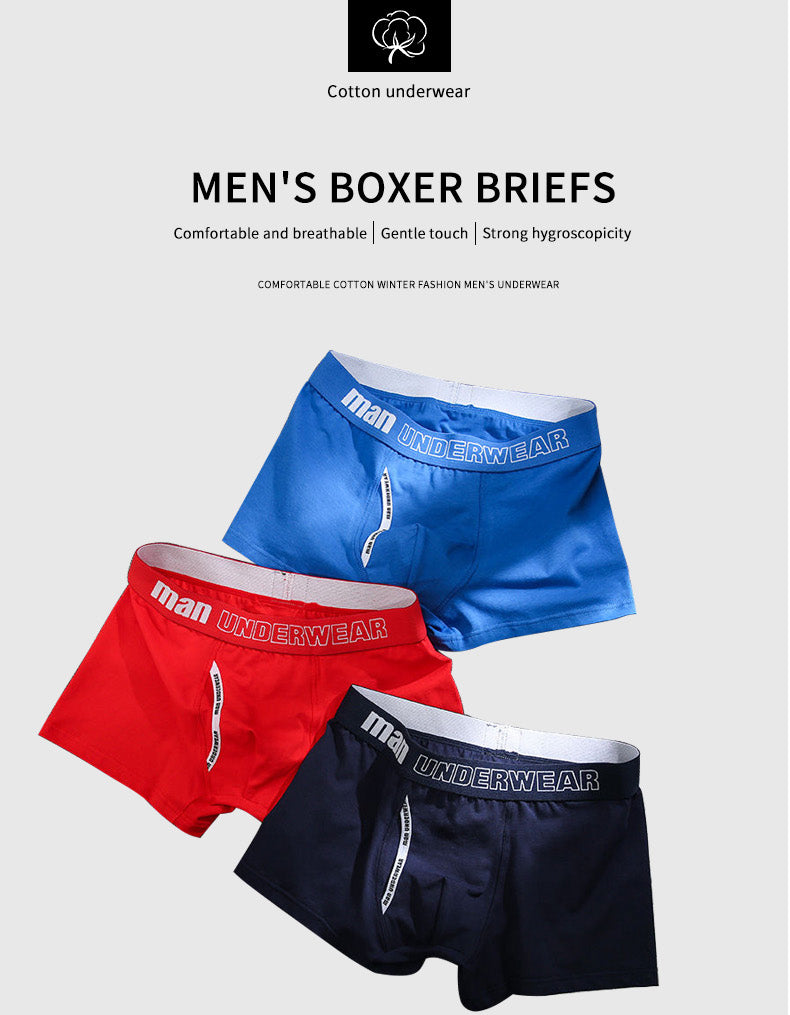 Boxer Mens Underwear Men Cotton Underpants Male Pure Men Panties